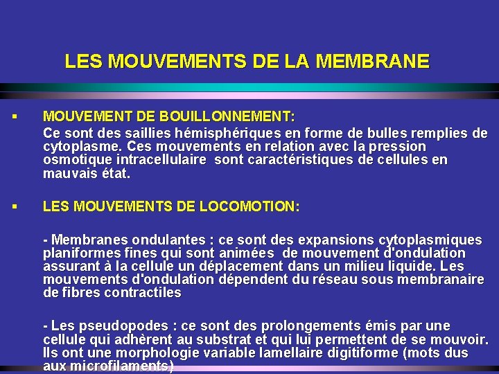 LES MOUVEMENTS DE LA MEMBRANE § MOUVEMENT DE BOUILLONNEMENT: Ce sont des saillies hémisphériques