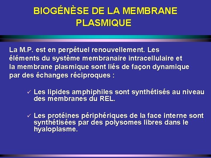 BIOGÉNÈSE DE LA MEMBRANE PLASMIQUE La M. P. est en perpétuel renouvellement. Les éléments