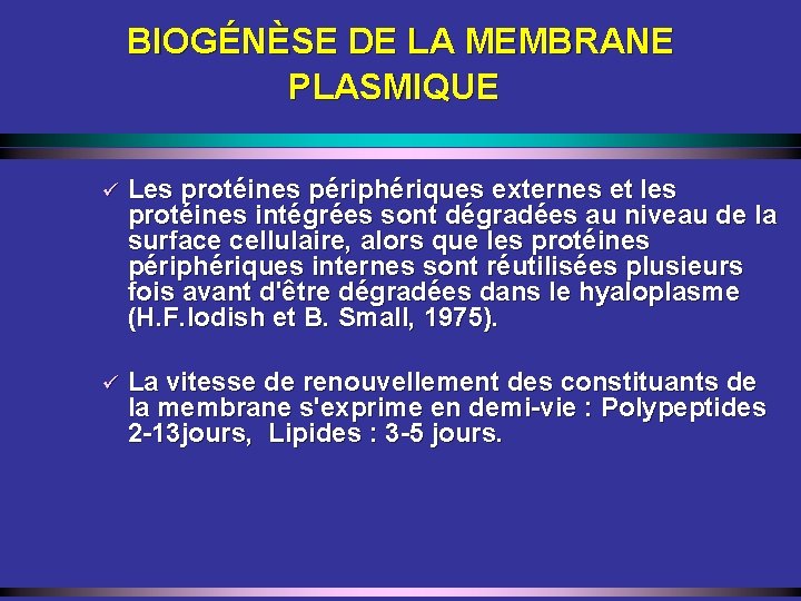 BIOGÉNÈSE DE LA MEMBRANE PLASMIQUE ü Les protéines périphériques externes et les protéines intégrées