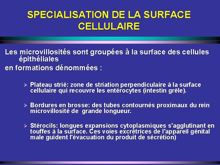 SPECIALISATION DE LA SURFACE CELLULAIRE Les microvillosités sont groupées à la surface des cellules