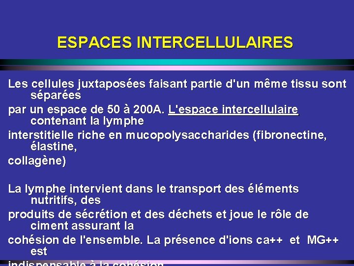 ESPACES INTERCELLULAIRES Les cellules juxtaposées faisant partie d'un même tissu sont séparées par un