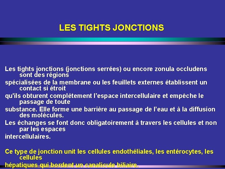 LES TIGHTS JONCTIONS Les tights jonctions (jonctions serrées) ou encore zonula occludens sont des