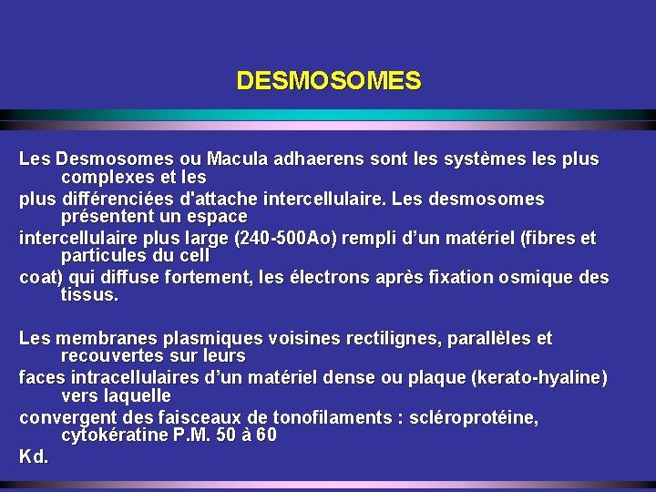 DESMOSOMES Les Desmosomes ou Macula adhaerens sont les systèmes les plus complexes et les