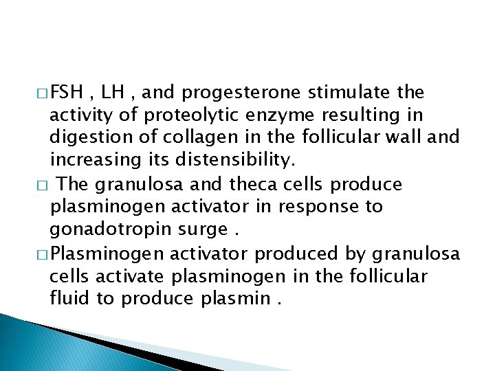 � FSH , LH , and progesterone stimulate the activity of proteolytic enzyme resulting