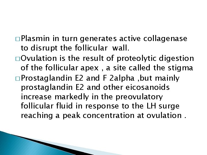 � Plasmin in turn generates active collagenase to disrupt the follicular wall. � Ovulation