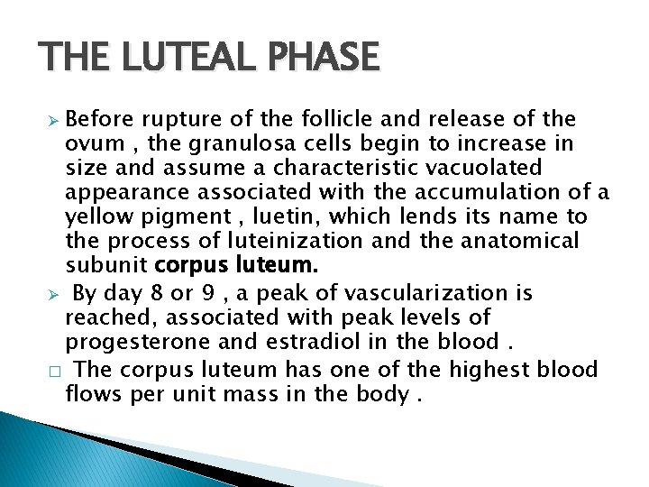 THE LUTEAL PHASE Before rupture of the follicle and release of the ovum ,