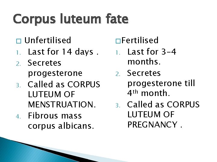 Corpus luteum fate � 1. 2. 3. 4. Unfertilised Last for 14 days. Secretes