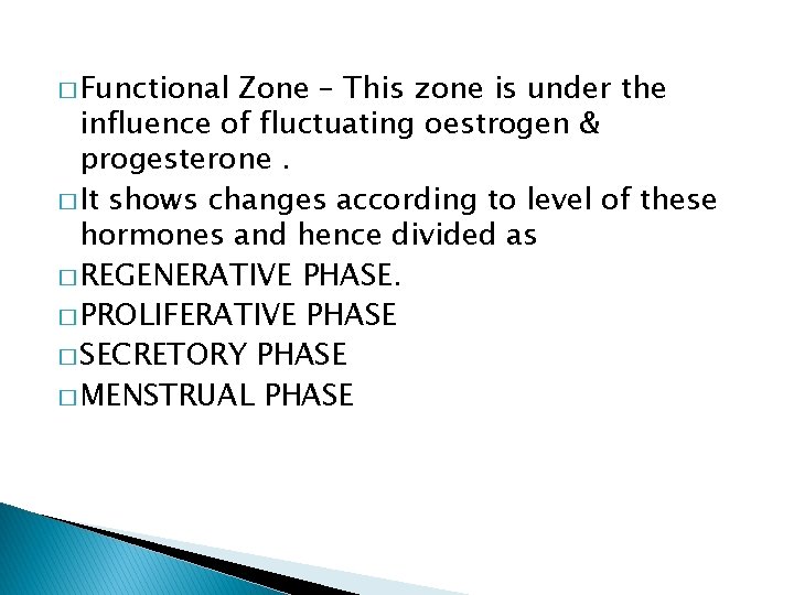 � Functional Zone – This zone is under the influence of fluctuating oestrogen &