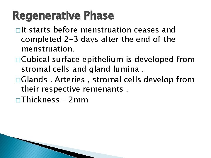 Regenerative Phase � It starts before menstruation ceases and completed 2 -3 days after