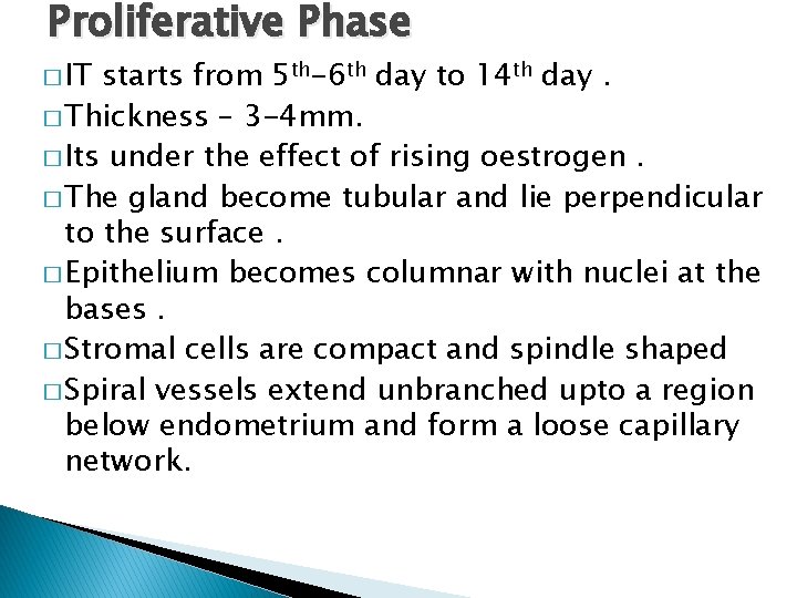 Proliferative Phase � IT starts from 5 th-6 th day to 14 th day.