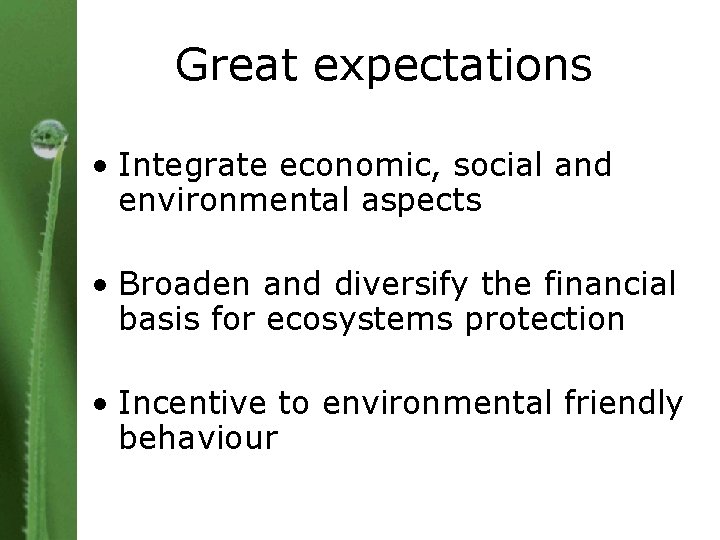 Great expectations • Integrate economic, social and environmental aspects • Broaden and diversify the