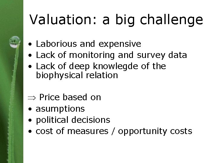 Valuation: a big challenge • Laborious and expensive • Lack of monitoring and survey