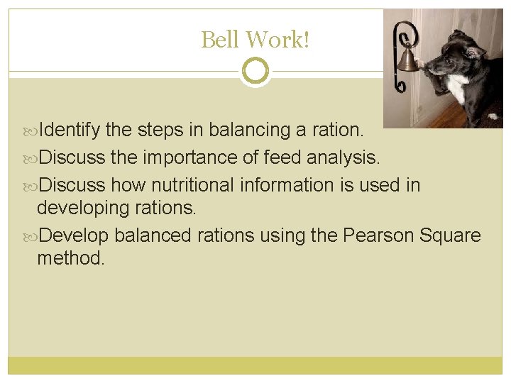 Bell Work! Identify the steps in balancing a ration. Discuss the importance of feed