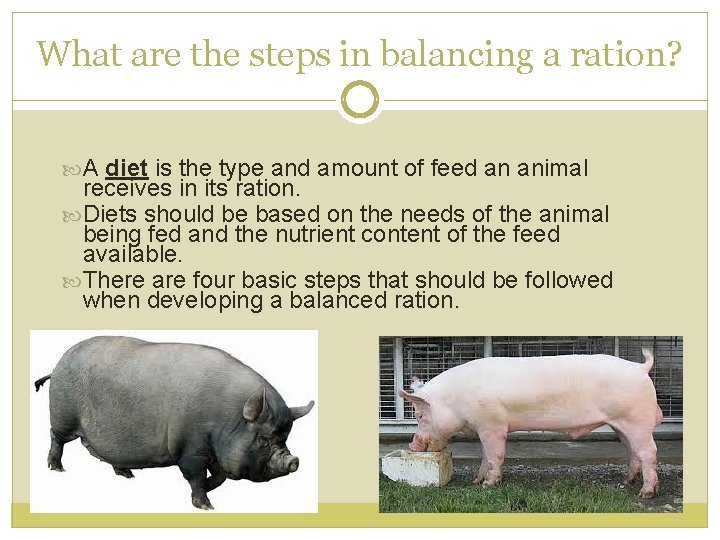 What are the steps in balancing a ration? A diet is the type and