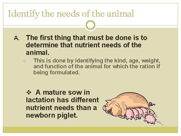 Identify the needs of the animal A. The first thing that must be done