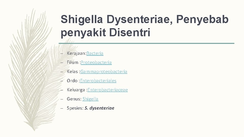 Shigella Dysenteriae, Penyebab penyakit Disentri – Kerajaan: Bacteria – Filum : Proteobacteria – Kelas