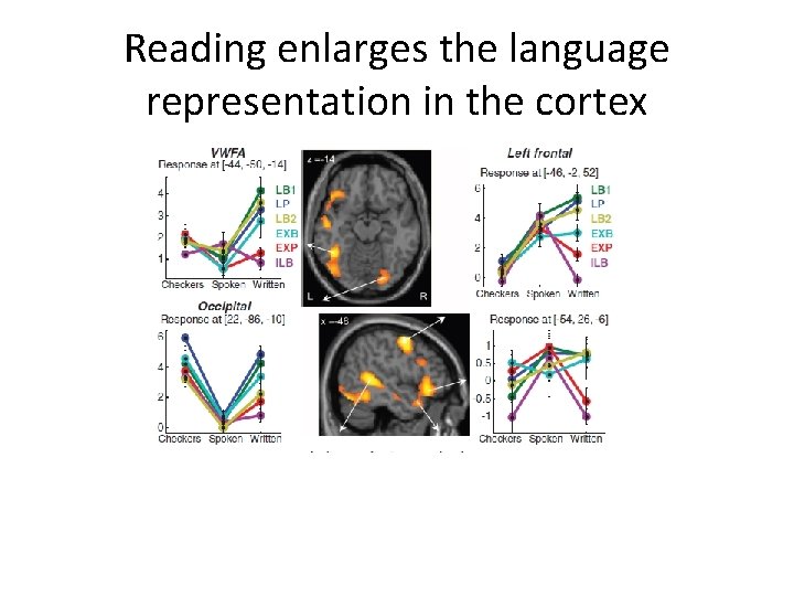 Reading enlarges the language representation in the cortex 