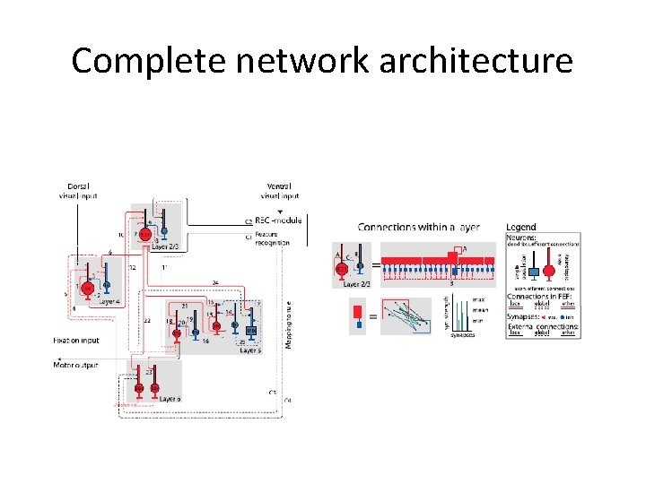 Complete network architecture 