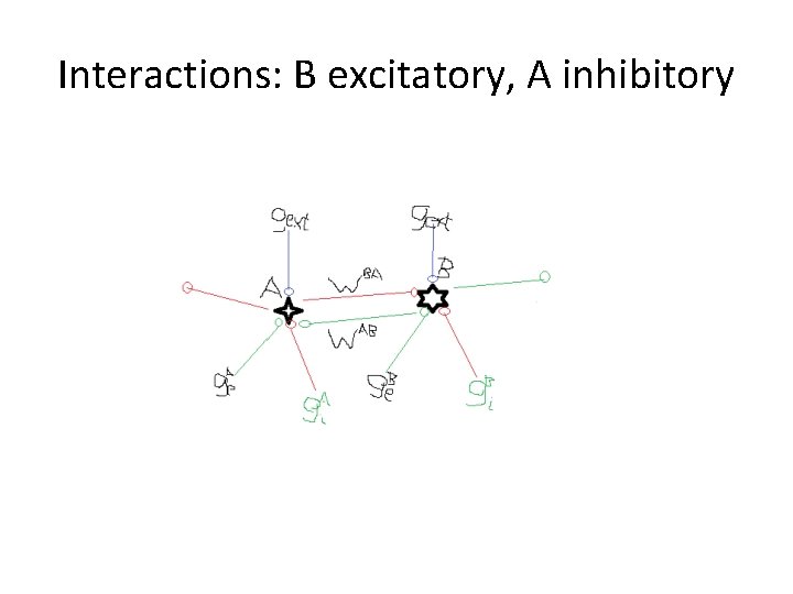 Interactions: B excitatory, A inhibitory 