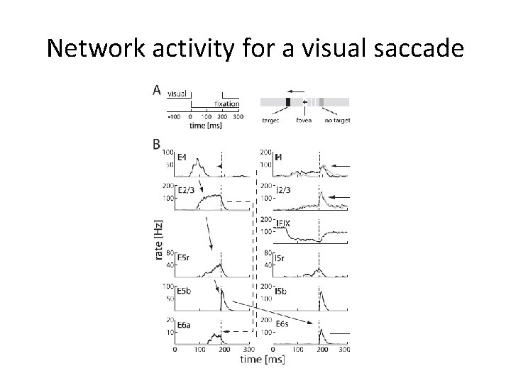 Network activity for a visual saccade 