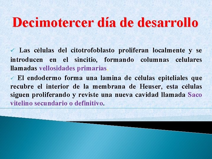 Decimotercer día de desarrollo Las células del citotrofoblasto proliferan localmente y se introducen en