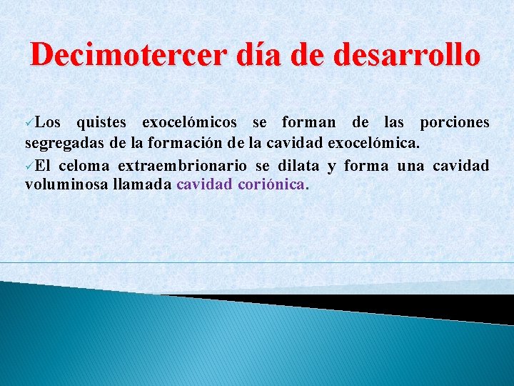 Decimotercer día de desarrollo üLos quistes exocelómicos se forman de las porciones segregadas de