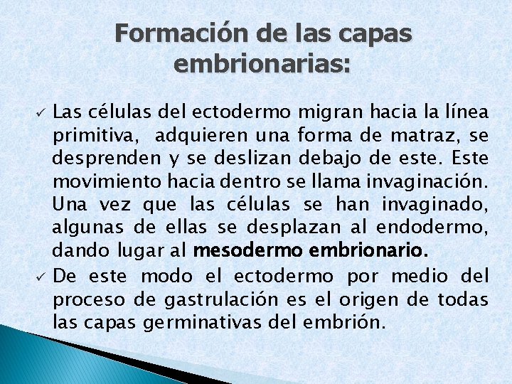 Formación de las capas embrionarias: Las células del ectodermo migran hacia la línea primitiva,