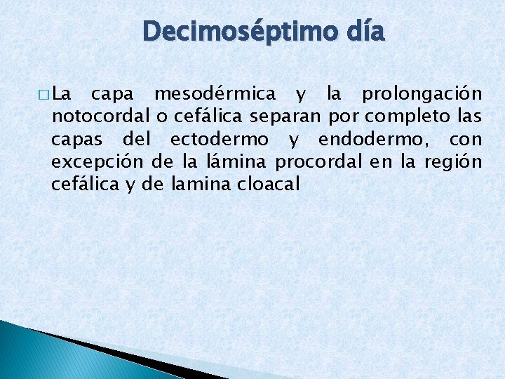 Decimoséptimo día � La capa mesodérmica y la prolongación notocordal o cefálica separan por
