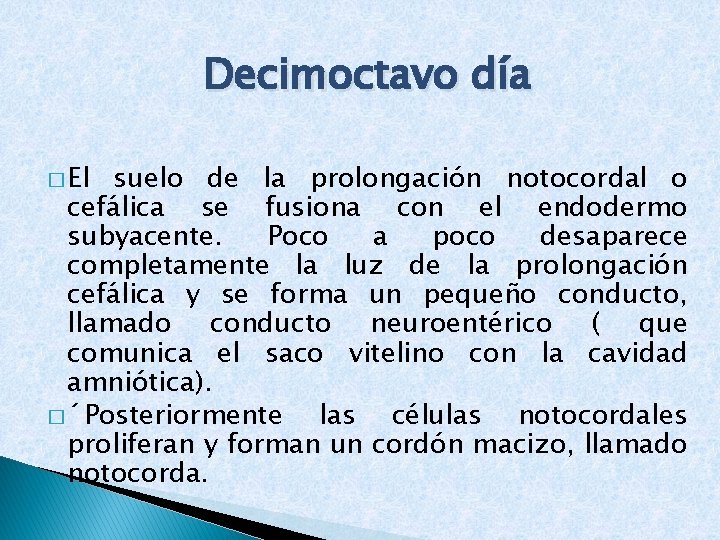 Decimoctavo día � El suelo de la prolongación notocordal o cefálica se fusiona con