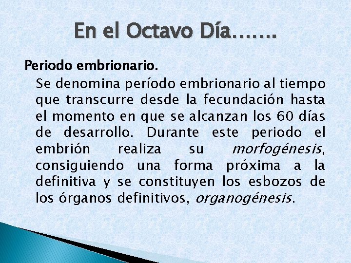 En el Octavo Día……. Periodo embrionario. Se denomina período embrionario al tiempo que transcurre