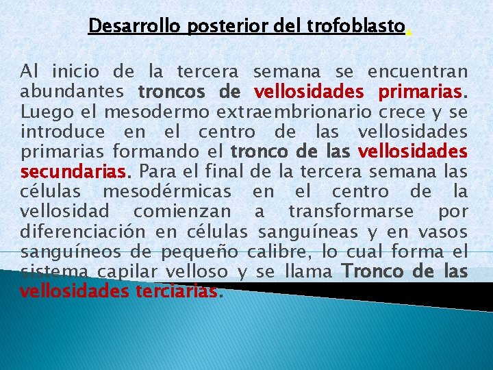 Desarrollo posterior del trofoblasto. Al inicio de la tercera semana se encuentran abundantes troncos