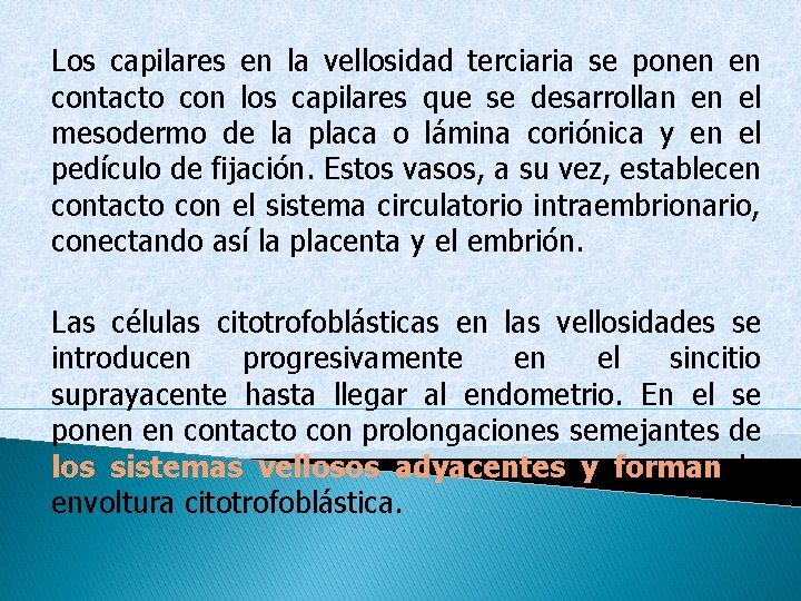 Los capilares en la vellosidad terciaria se ponen en contacto con los capilares que