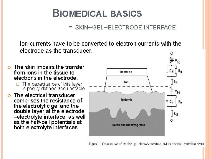 BIOMEDICAL BASICS - SKIN–GEL–ELECTRODE INTERFACE Ion currents have to be converted to electron currents