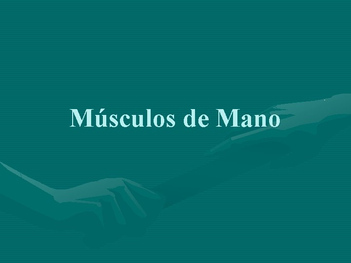 Músculos de Mano 