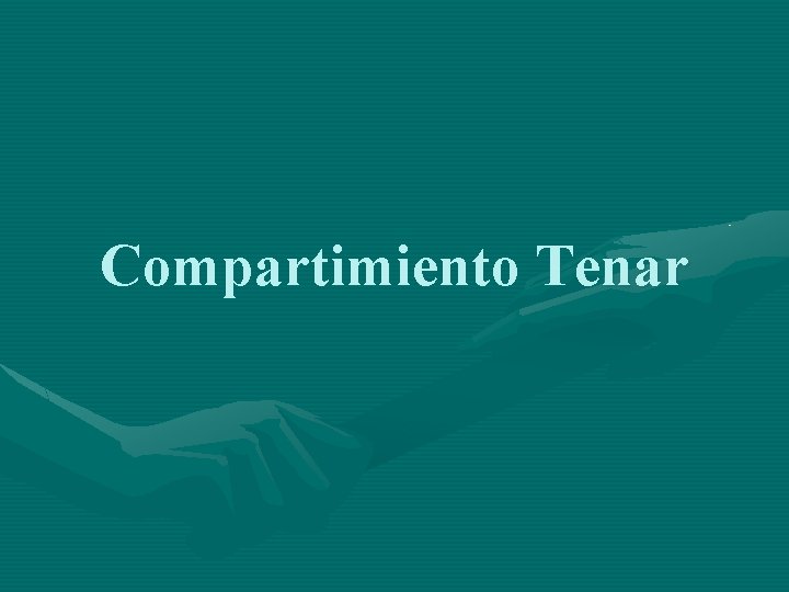 Compartimiento Tenar 