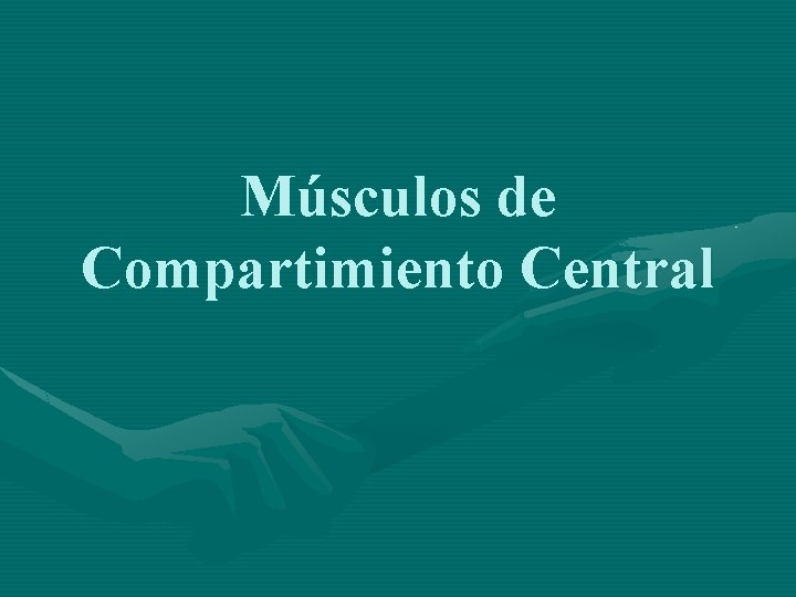 Músculos de Compartimiento Central 