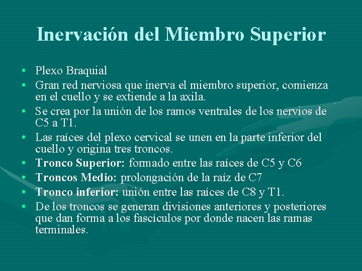 Inervación del Miembro Superior • Plexo Braquial • Gran red nerviosa que inerva el