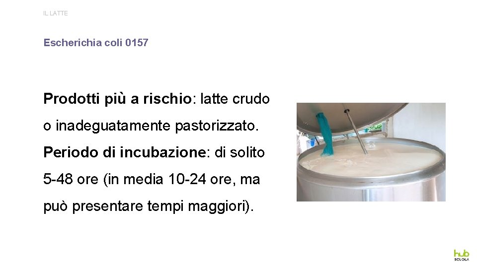 IL LATTE Escherichia coli 0157 Prodotti più a rischio: latte crudo o inadeguatamente pastorizzato.