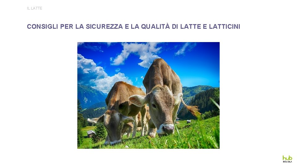 IL LATTE CONSIGLI PER LA SICUREZZA E LA QUALITÀ DI LATTE E LATTICINI 