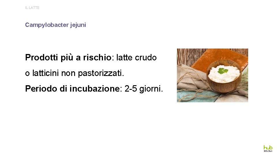IL LATTE Campylobacter jejuni Prodotti più a rischio: latte crudo o latticini non pastorizzati.