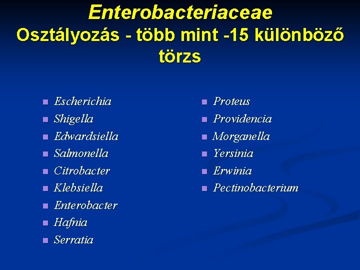 Enterobacteriaceae Osztályozás - több mint -15 különböző törzs n n n n n Escherichia