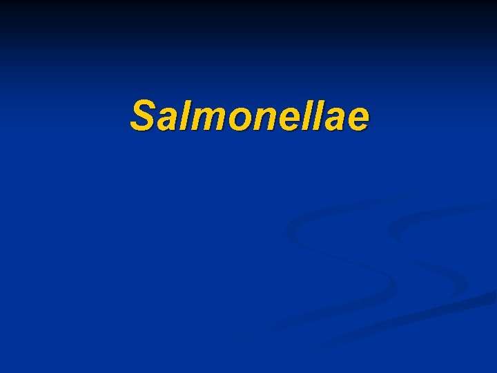 Salmonellae 