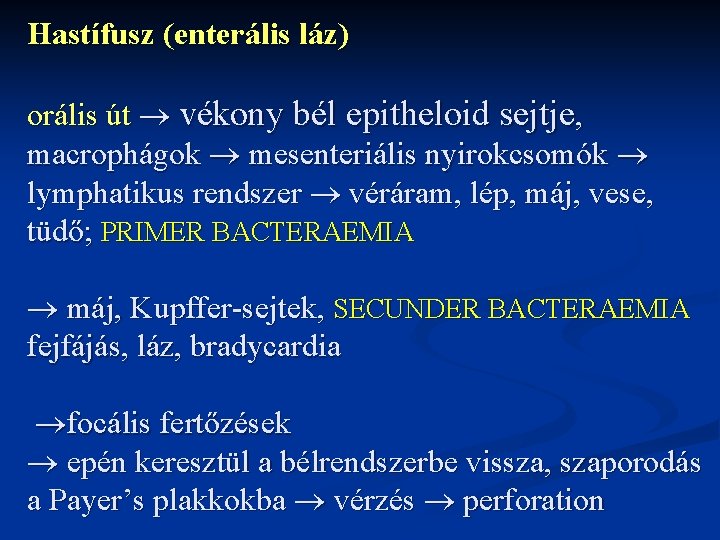 Hastífusz (enterális láz) orális út vékony bél epitheloid sejtje, macrophágok mesenteriális nyirokcsomók lymphatikus rendszer