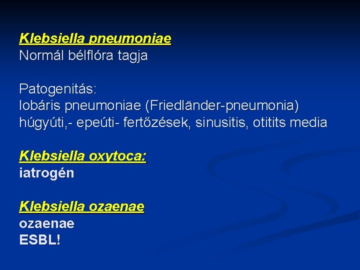 Klebsiella pneumoniae Normál bélflóra tagja Patogenitás: lobáris pneumoniae (Friedländer-pneumonia) húgyúti, - epeúti- fertőzések, sinusitis,
