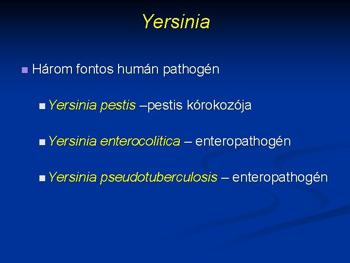 Yersinia n Három fontos humán pathogén n Yersinia pestis –pestis kórokozója n Yersinia enterocolitica