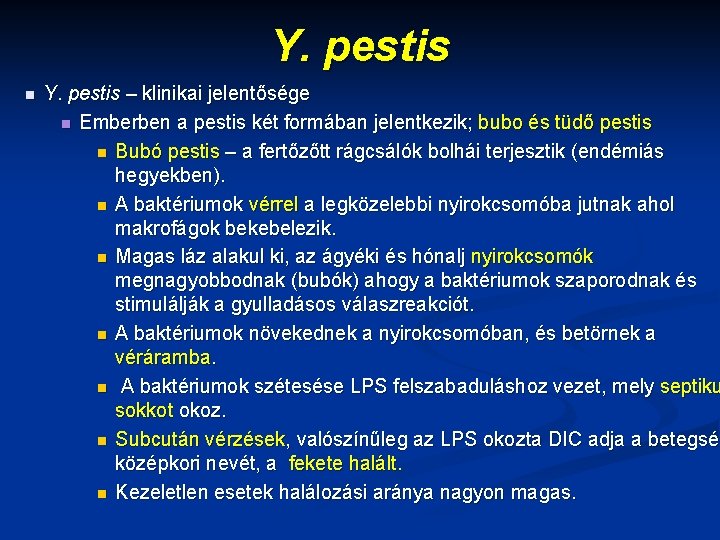 Y. pestis n Y. pestis – klinikai jelentősége n Emberben a pestis két formában