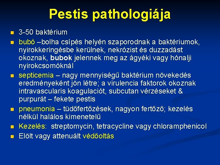 Pestis pathologiája n n n 3 -50 baktérium bubó –bolha csípés helyén szaporodnak a