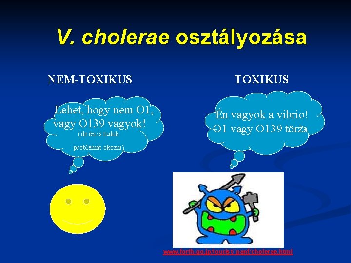 V. cholerae osztályozása NEM-TOXIKUS Lehet, hogy nem O 1, vagy O 139 vagyok! (de