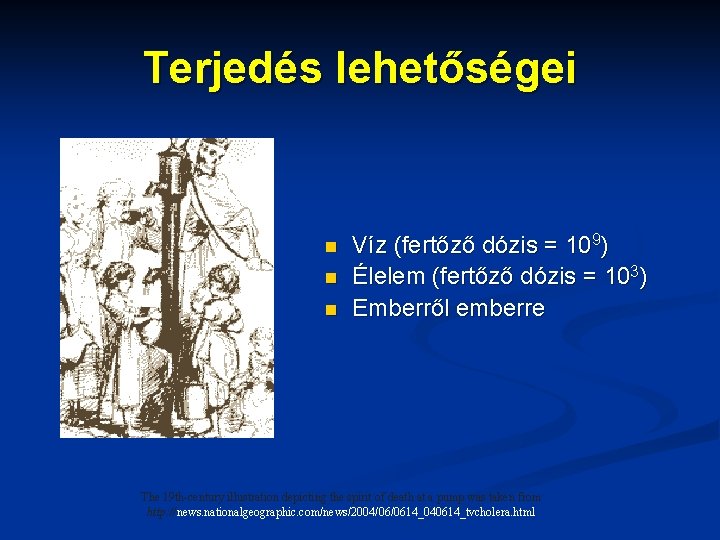 Terjedés lehetőségei n n n Víz (fertőző dózis = 109) Élelem (fertőző dózis =