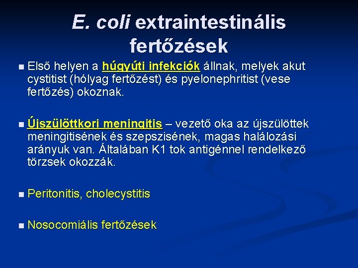 E. coli extraintestinális fertőzések n Első helyen a húgyúti infekciók állnak, melyek akut cystitist